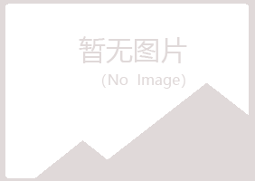 河曲县盼夏咨询有限公司